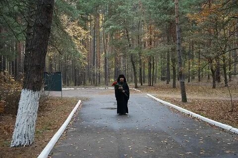 Суворовский курская область урочище солянка фото