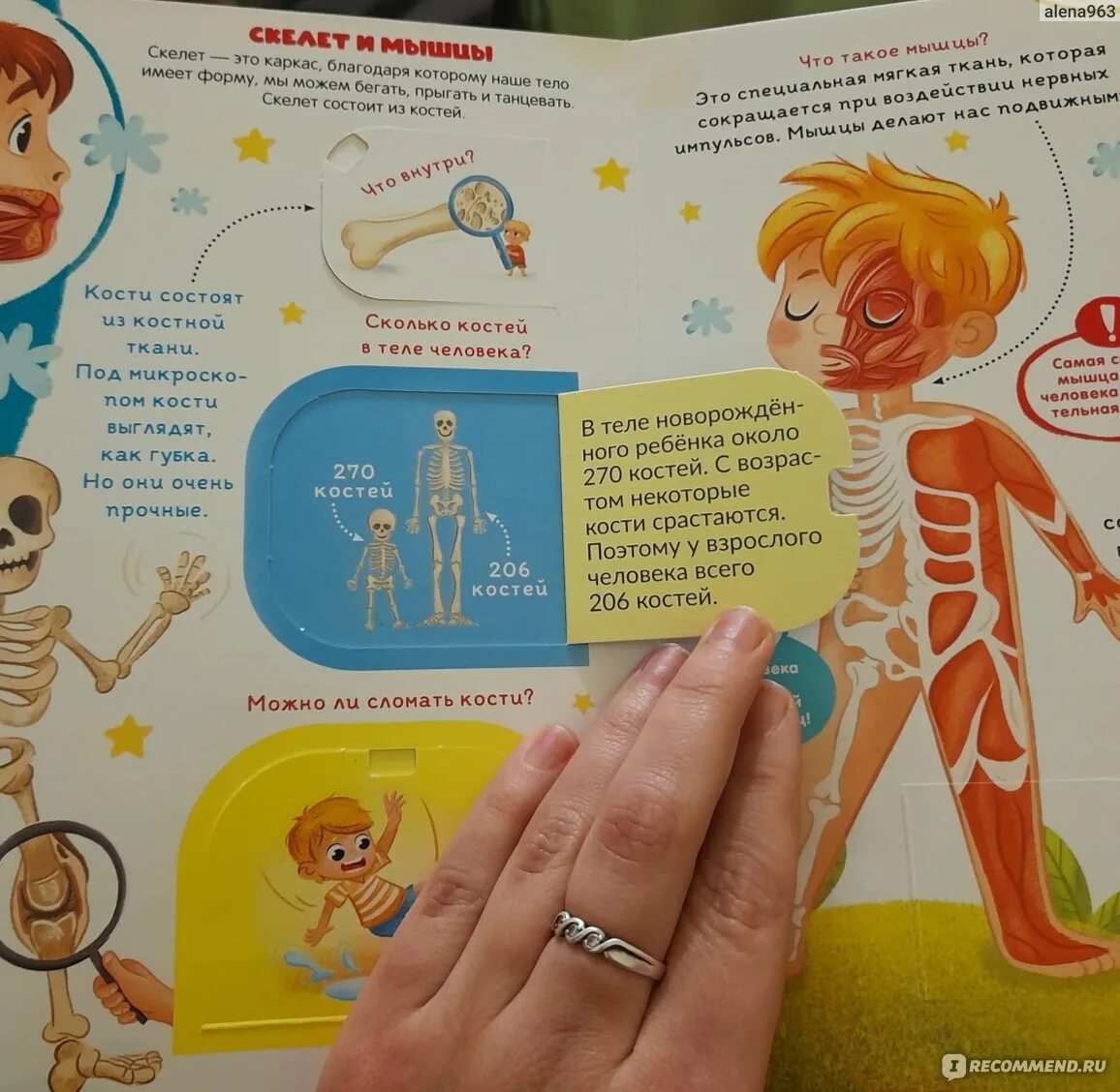 Как устроен человек для детей. Тело человечка для детей. Как устроен человек книжка. Как устроен человек. Как устроен человек.