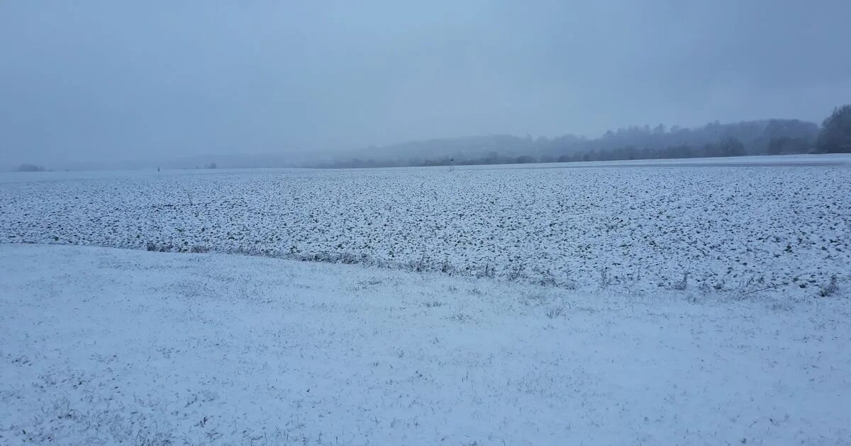 Зимние явления для детей. Земля покрылась белым ковром. Озеро раифского монастыря замерзло. Снежный покров. Почва зимой.