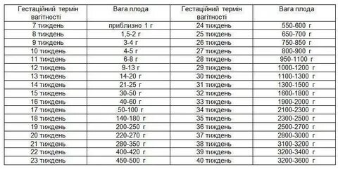 Вес в последние недели беременности