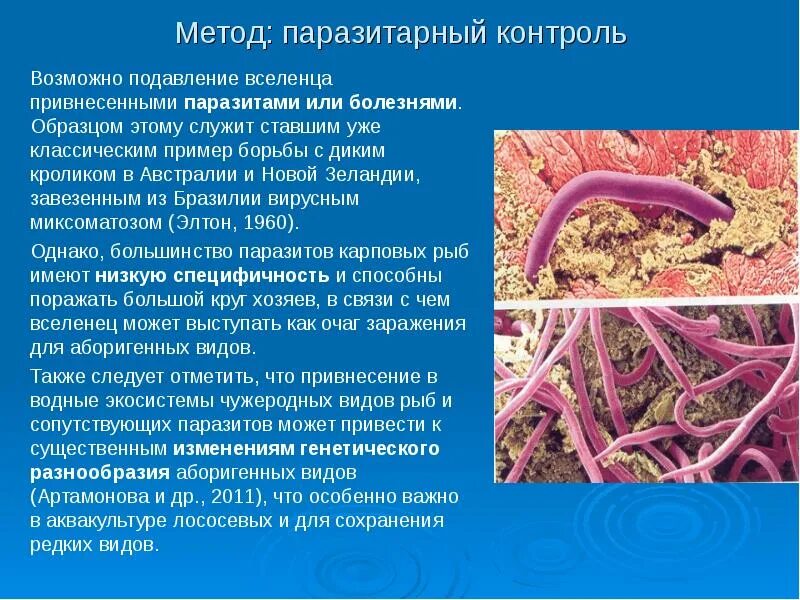 Паразитарные болезни животных. Форсайт антивошь. Паразитарные заболевания картинки. Примеры паразитарных заболеваний. Примеры паразитарных заболеваний.