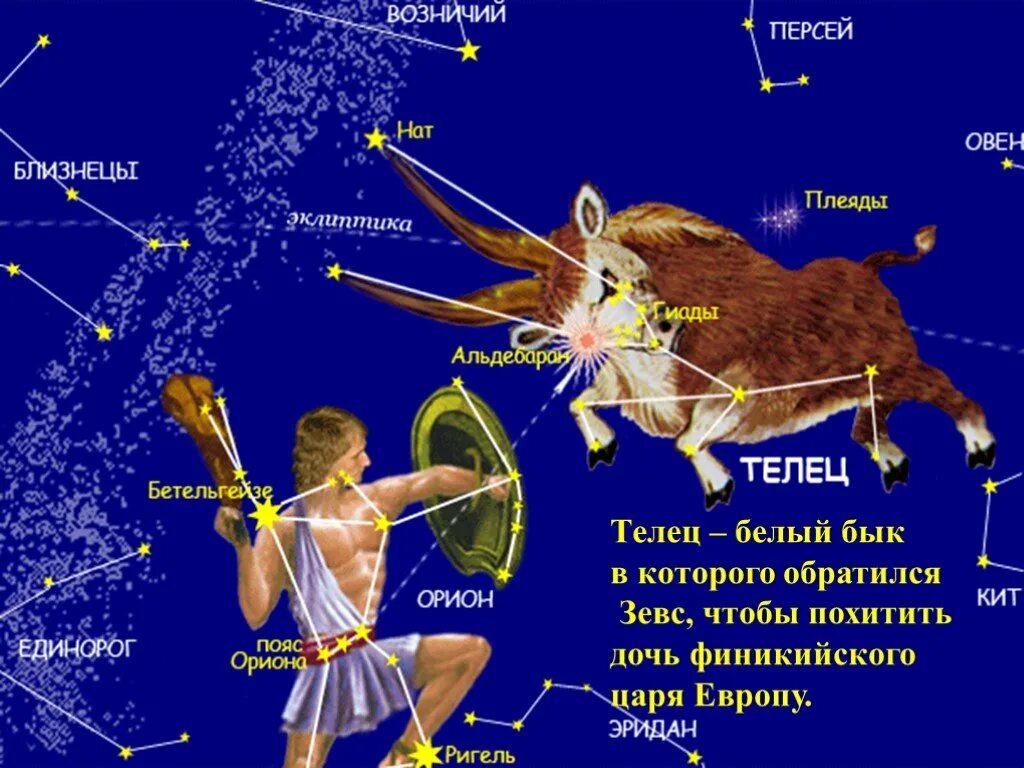 Близнецы сириус