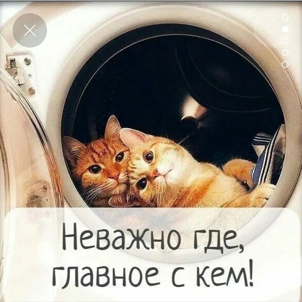 Неважно куда. Картинка неважно. Неважно где главное с кем. Неважно где. Важно неважно.