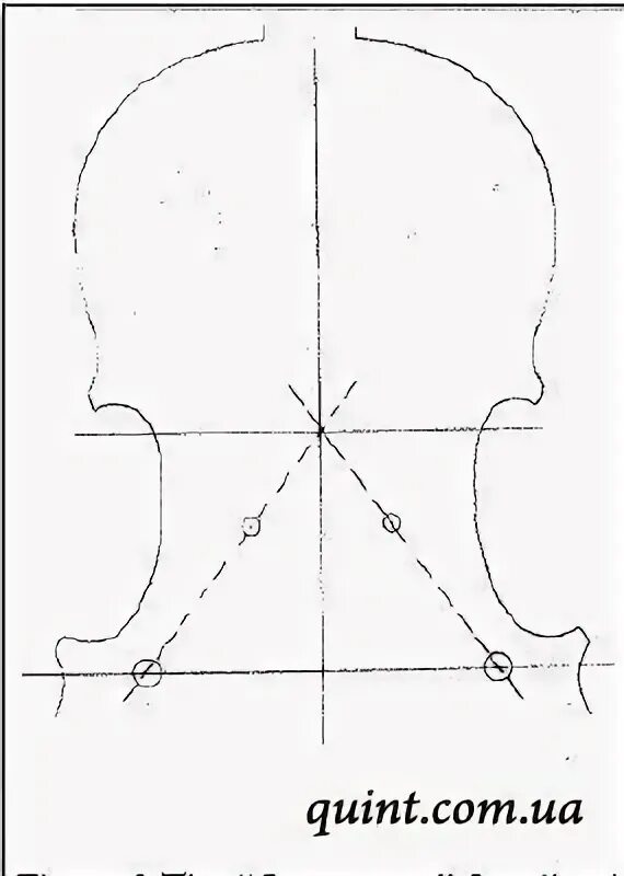 Лекала скрипки. Скрипка чертеж. Чертеж скрипки с размерами. Чертежи скрипки Страдивари.