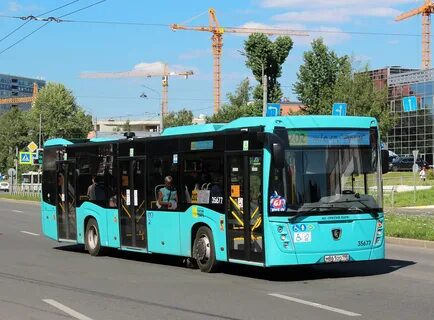 Автобус 57 спб