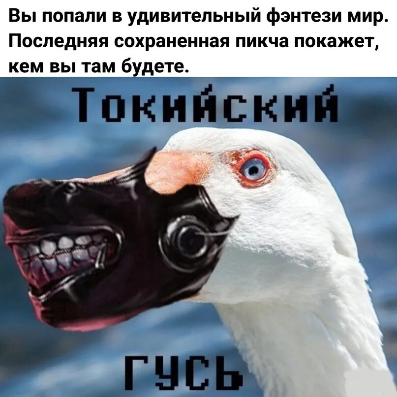 Токийский голубь. Токийский Гусь. Гусь гуль. УГАРНЫЙ Гусь.