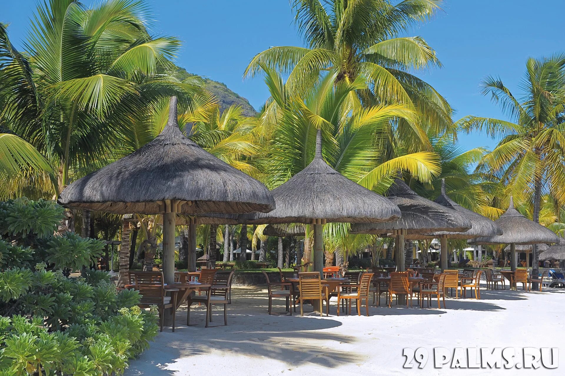 Paradis