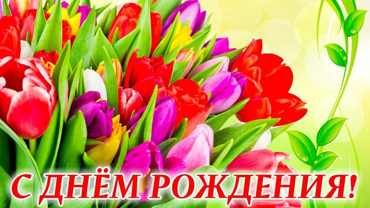 Поздравить женщину с днем рождения в марте. Весеннее поздравление с днем рождения. Весеннее поздравление с днем рождения женщине. Поздравления с днем рождения родившихся в марте. Поздравления кто родился в марте.