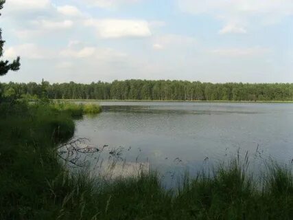 Светлый ивановская область