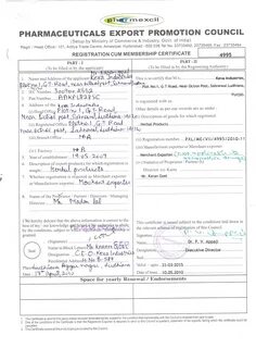 Виза в египет образец заполнения 2024