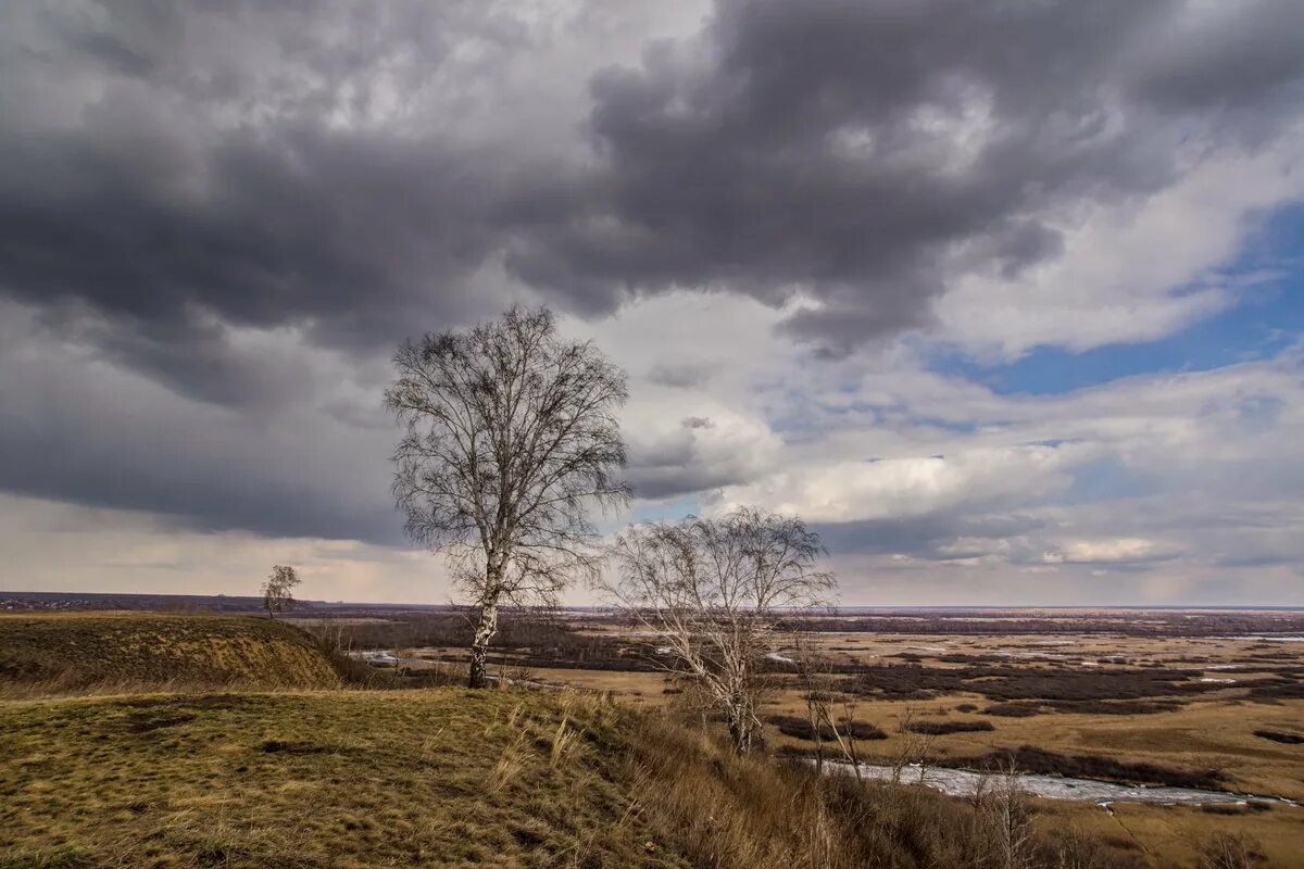пасмурный зимний день.