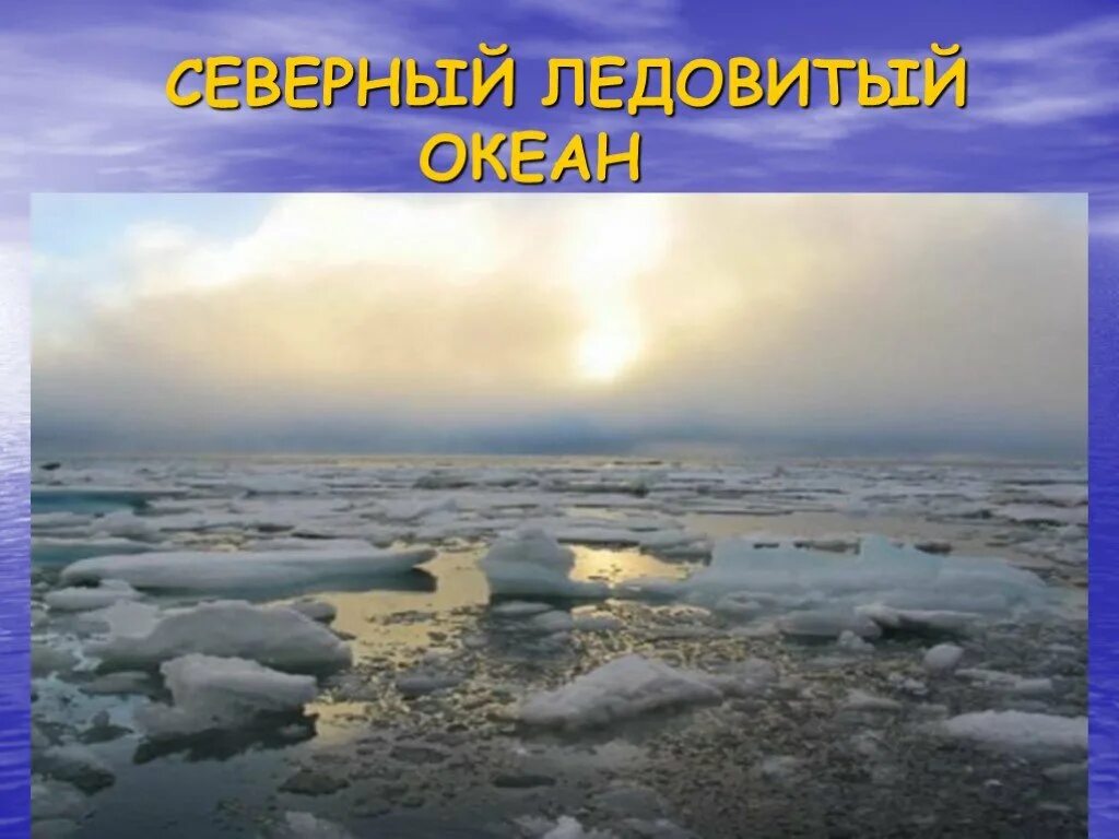 Интересные факты о Северном Ледовитом океане. Северный Ледовитый океан для детей. Северный океан факты. Северноледовитй океан факты.