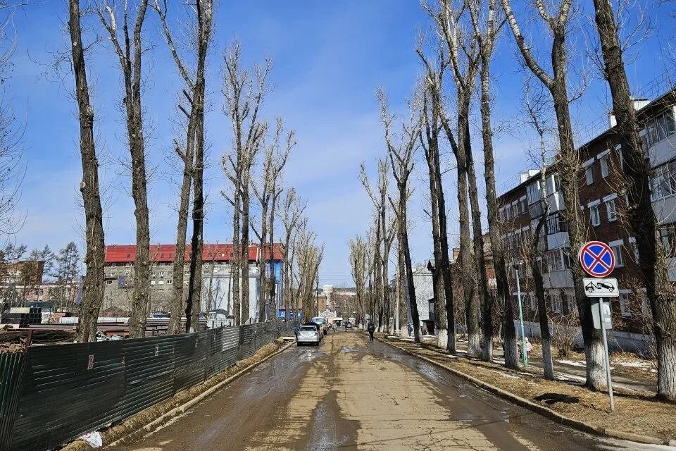 Временном поселке. Тополиная аллея. Иркутск 2023. Иркутск 2023. Иркутск.