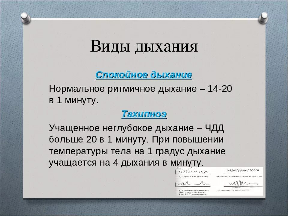 Частота дыхательных движений у взрослого человека. Дыхание ЧДД. ЧДД В зависимости от температуры тела. Увеличение частоты дыхательных движений. Частота дыхательных движений характеристика.