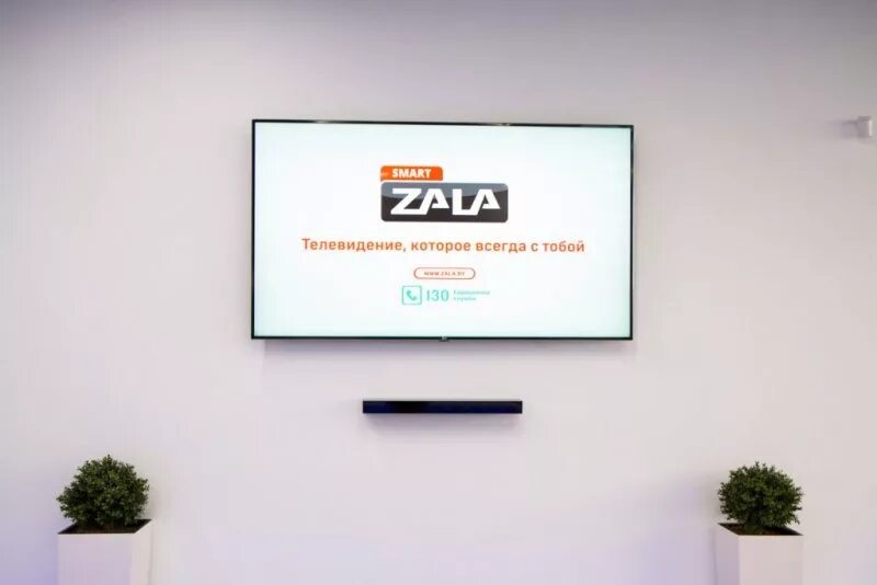 Телевизор зал смарт. Смарт зала. Zala TV Телеканал логотип. Телеканалы прекратившие вещание. Канал cartoon Network прекращение вещания.