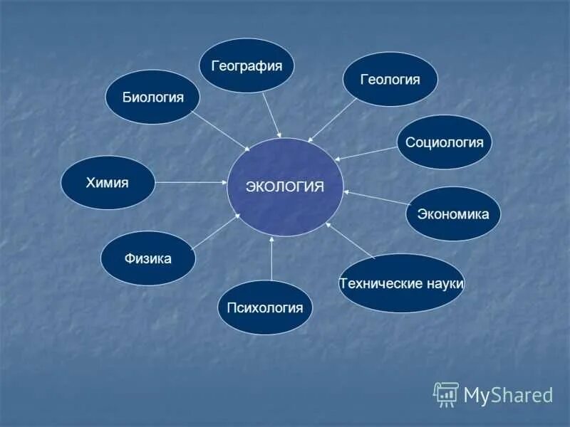Значение химии в системе наук. Связь биологии с экологией. связь экологии с географией. науки связанные с географией.
