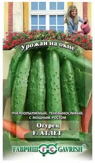 Огурец окошко f1 отзывы