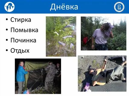 Ти дневка
