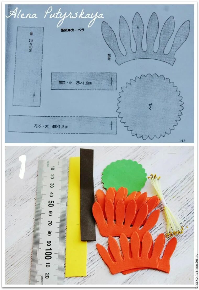 Листья герберы из фоамирана. Гербера выкройка из фоамирана. Цветы из фоамирана герберы.