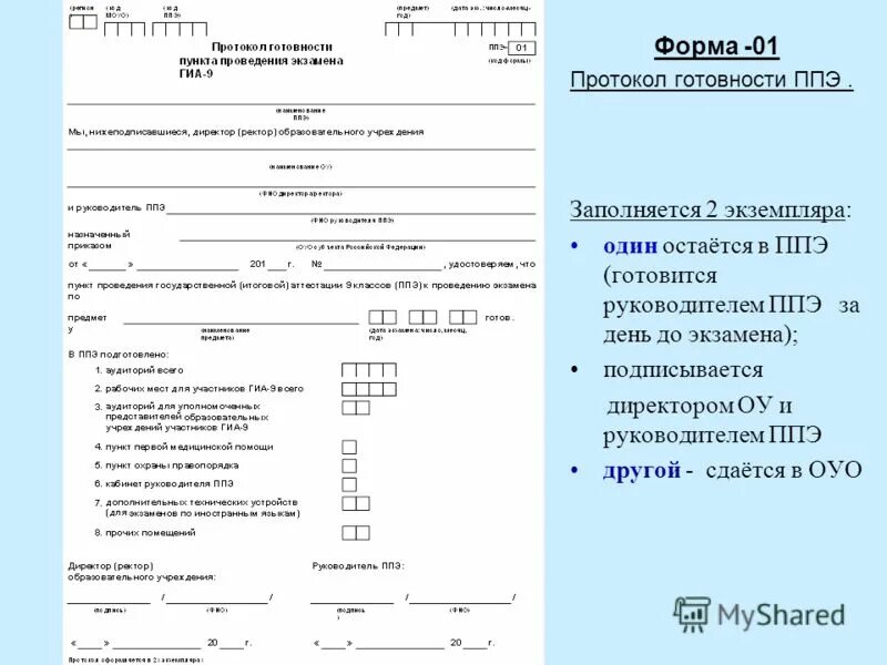 Сколько экземпляров формы ппэ