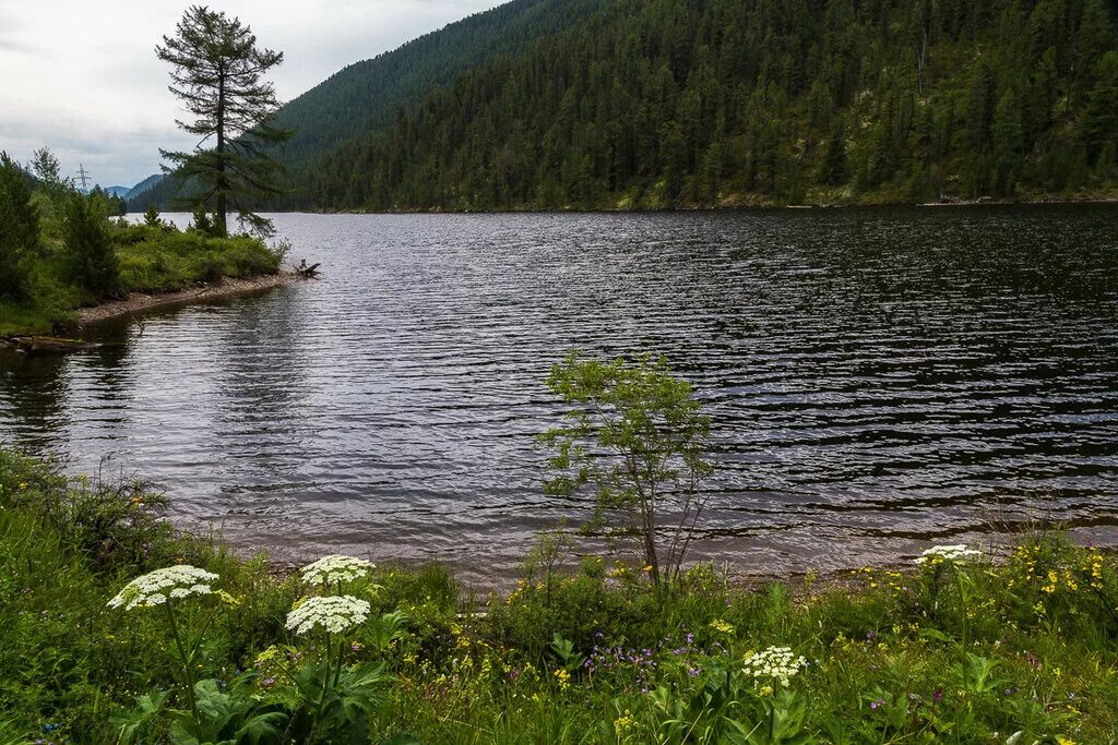Озеро чейбеккель горный алтай. Мертвое озеро чейбеккель горный алтай. Мертвое озеро чейбеккель горный алтай. Озеро чейбеккель горный алтай. Озеро чейбеккель (мертвое озеро).
