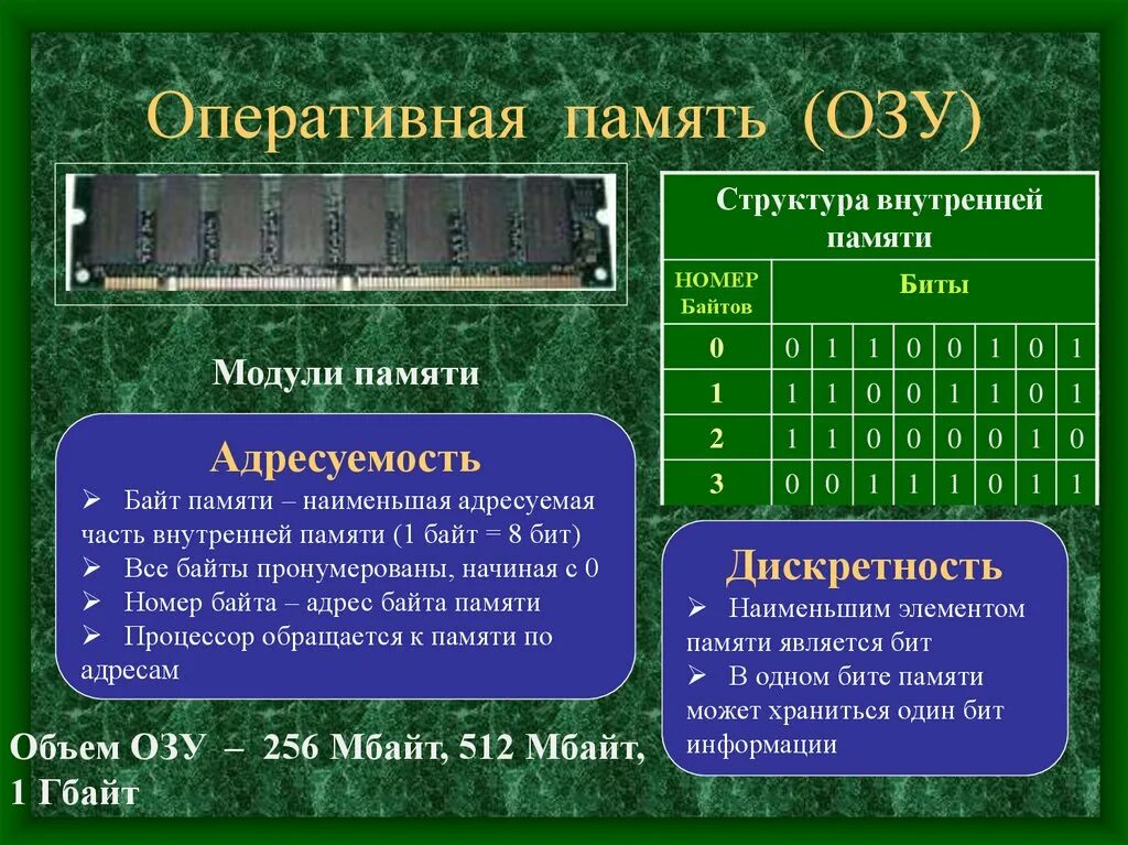 Количество ячеек памяти. Оперативная память ячейки памяти. Строение оперативной памяти. Модули внутренней памяти это. Ячейка оперативной памяти это.