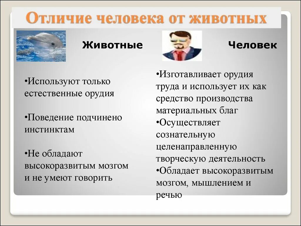 Отличие человека от животных. Отличие человека от животного Обществознание. Отличия человека от животного Обществознание ЕГЭ. Чем человек отличается от животного Обществознание.