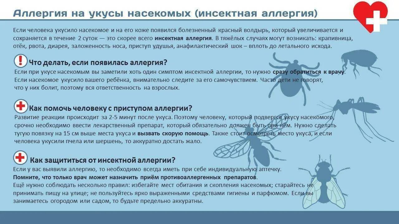 Аллергия на укус насек. Аллергическая реакция на укус насе. Укусы насекомых симптомы. Аллергическая реакция на осу. Чем обработать укусы в домашних условиях