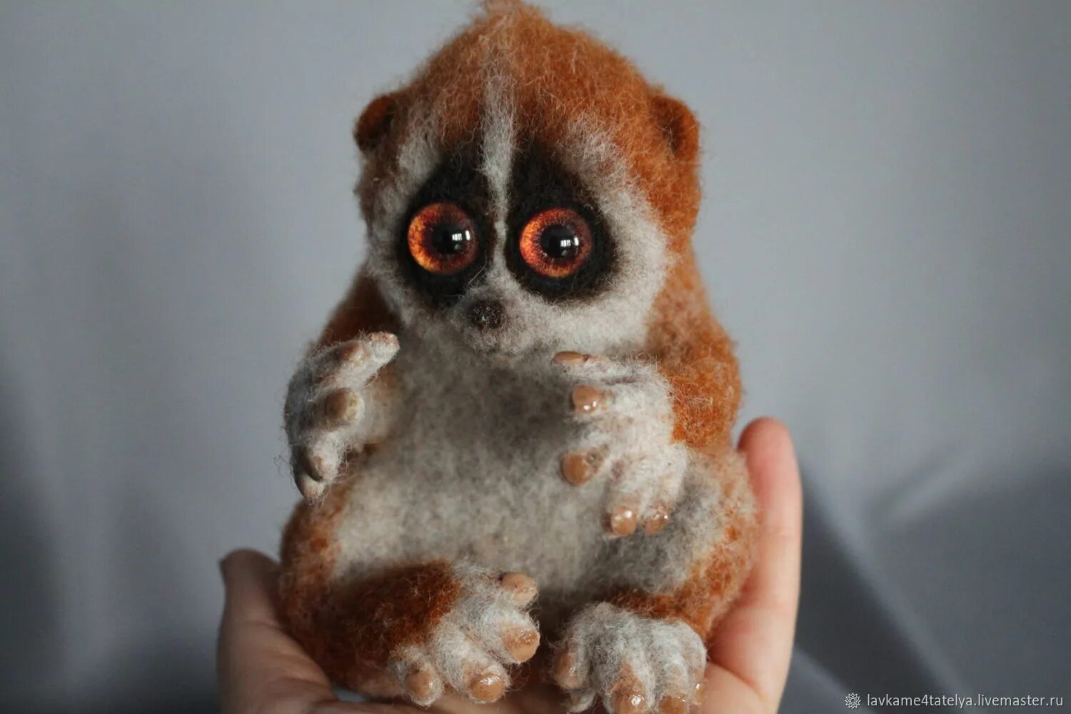 Карликовый лемур. Лемур лори. Лори галаго. Лемур лори. Лемур лори ареал обитания.