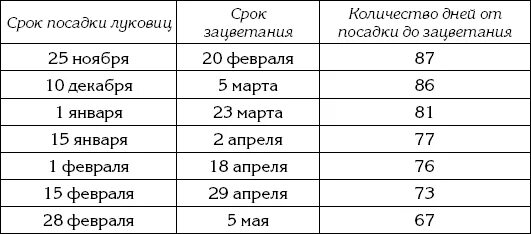 Сколько выдерживают тюльпаны. Таблица охлаждения луковиц тюльпанов. Таблица глубины посадки луковичных. Глубина посадки луковичных цветов таблица. Схема посадки луковичных цветов.