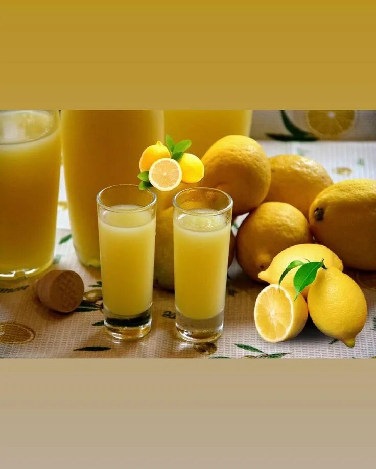 Классический лимончелло. Лимончелло. Напиток Лимончелло. Лимон для ликера Лимончелло. Лимончелло Италия.