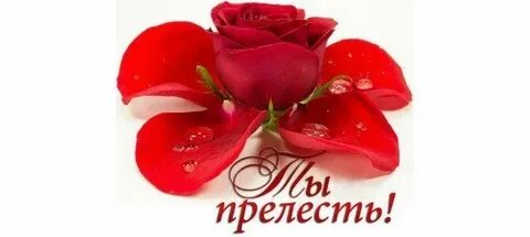 Тема прелесть