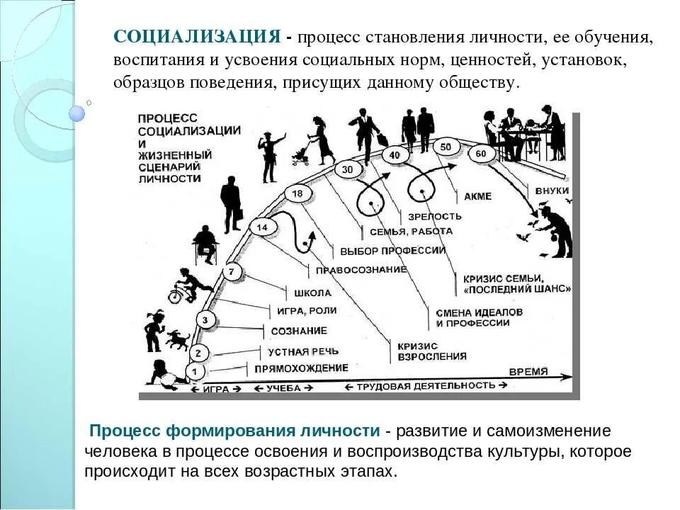 Влияние общества на воспитание