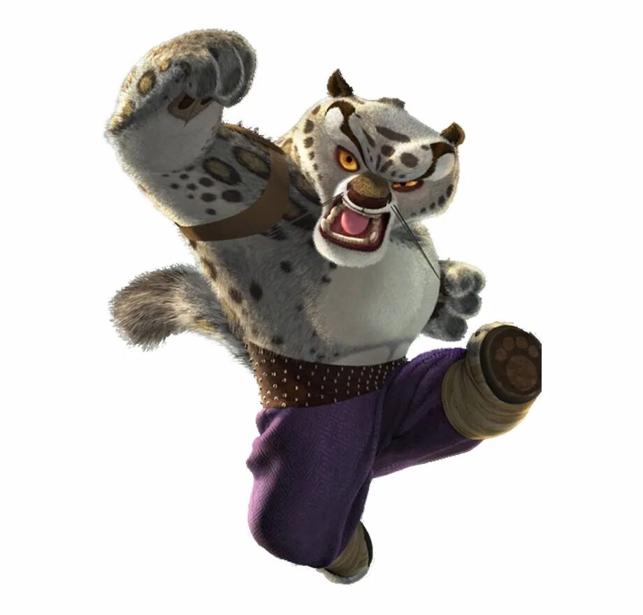 Tai lung kung fu