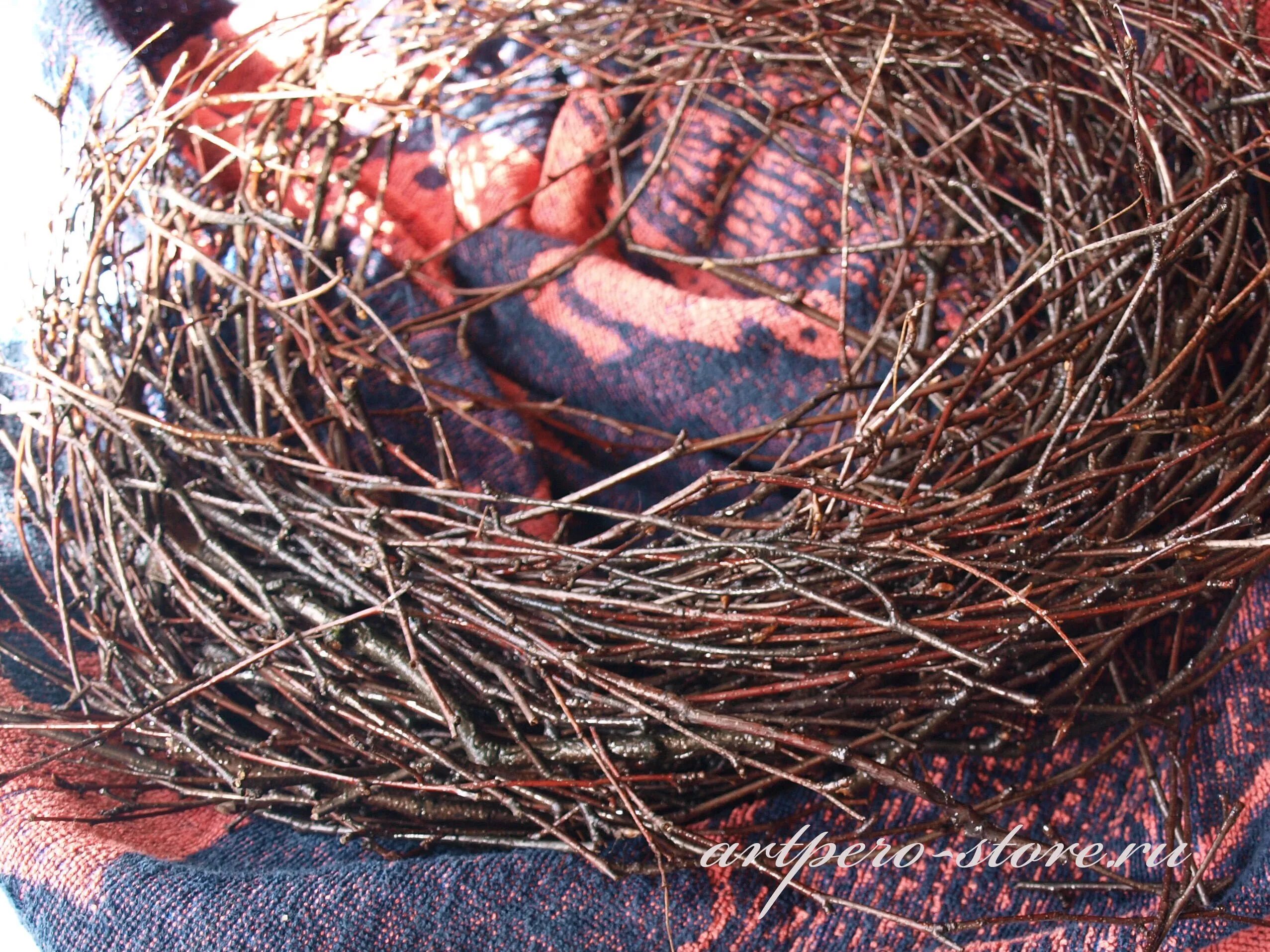 Nest create