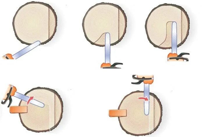 Направить в нужном направлении. Техника Валки деревьев бензопилой. Схема Валки дерева бензопилой. Правильно спилить дерево бензопилой в нужном направлении схема. Как спилить толстое дерево бензопилой.