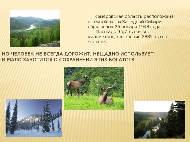 Красная книга Кемеровской области - Мои файлы - Презентации по экологии - Эко-Го