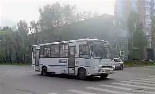 Вологда васильевское автобус