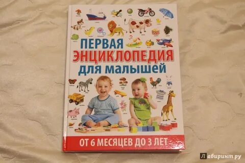 6 месяцев до 3 лет
