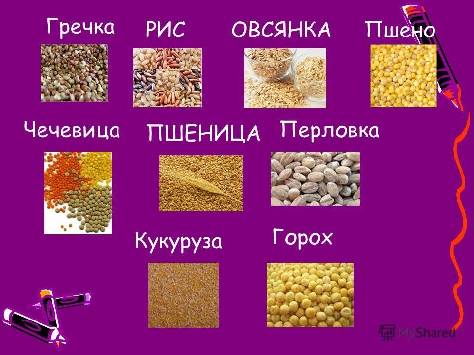 Какие бывают крупы список. Название круп. крупы виды. крупы для дошкольников. название каш.