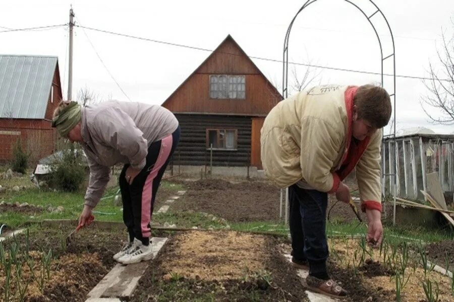 Земля для ведения огородничества. Дачники на даче. Советские огороды. Дачник на огороде. Пенсионеры в огороде.