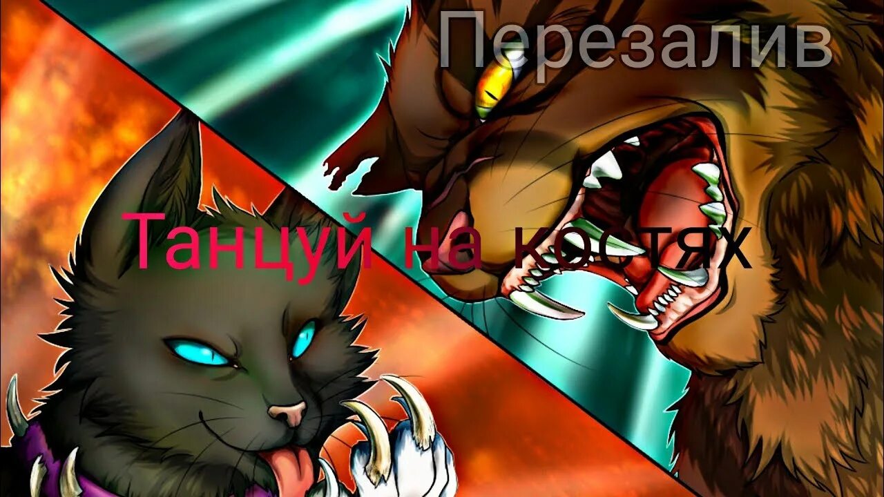 Бич и звездоцап. Коты воители звездоцап. коты воители бич и звездоцап. коты воители звездоцап смерть. коты воители огнезвёзд и бич.