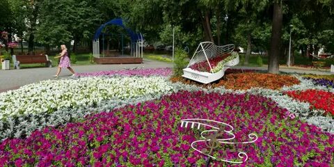День цветов в парке