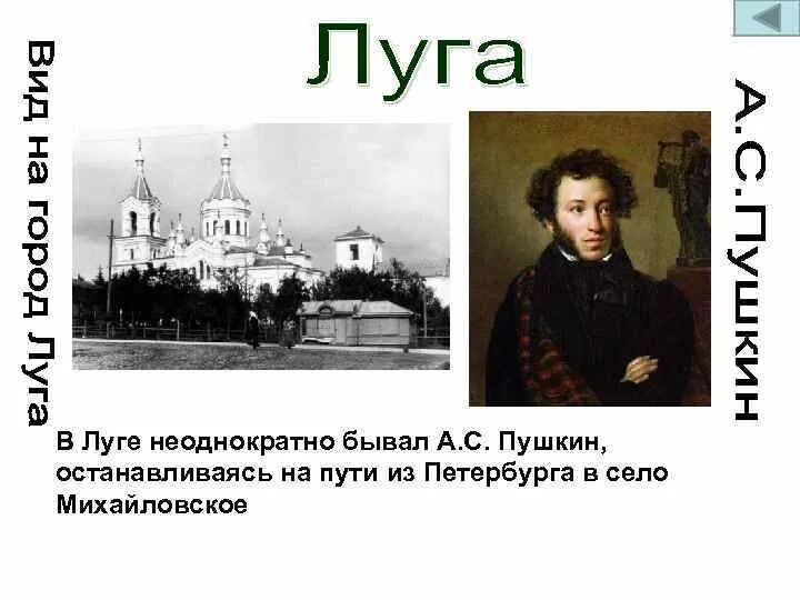 Пушкин город луга. Луга (город) города ленинградской области. Памятник пушкину в тюмени. Город луга город воинской славы. Пушкин город луга.