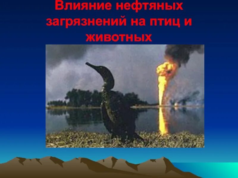 Влияние добычи нефти на окружающую среду. Влияние нефти на экологию. Влияние нефти на животных. Влияние нефтепродуктов на окружающую среду. Экологические проблемы нефти.