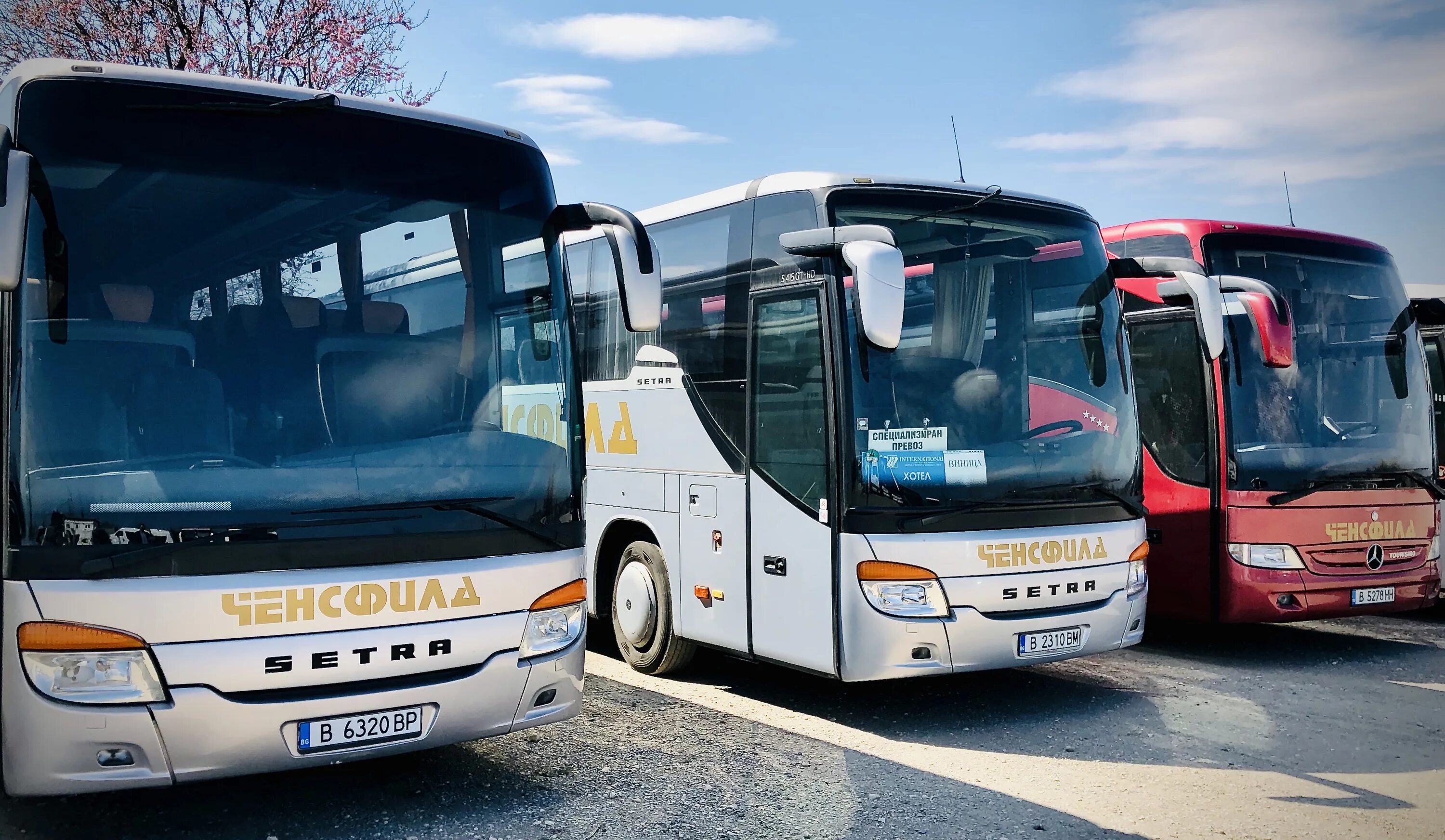 автомобильный транспорт в туризме. туристические услуги и товары. транспорт для путешествий. путешествие на разных видах транспорта. красивый автобус.