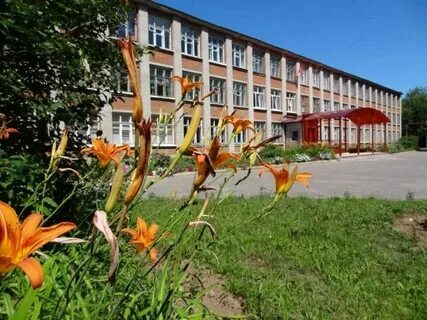 Школы г владимира адреса