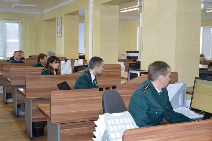 Центральное таможенное декларирование
