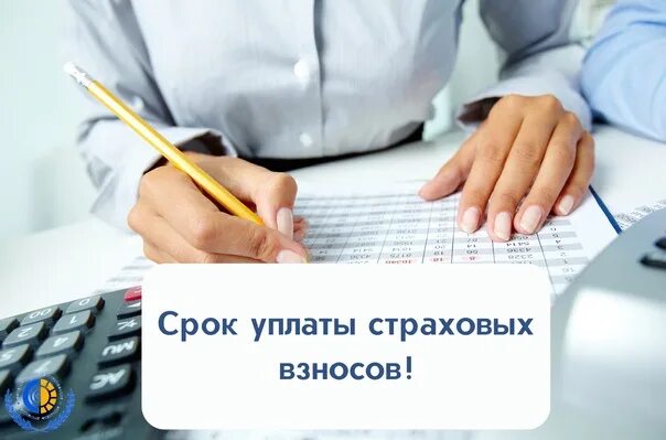 Взносы фсс сроки уплаты. Страховые взносы. периодичность уплаты страхового взноса. страховые взносы сроки. сроки уплаты страховых взносов в фсс.