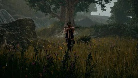 Pubg играть